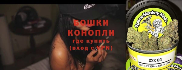 спиды Богородицк