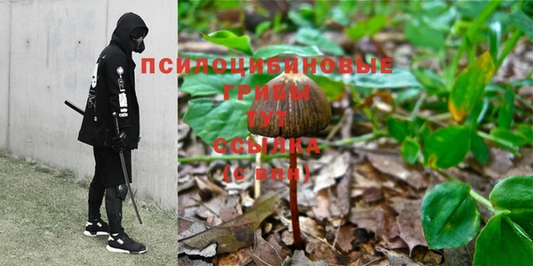 спиды Богородицк