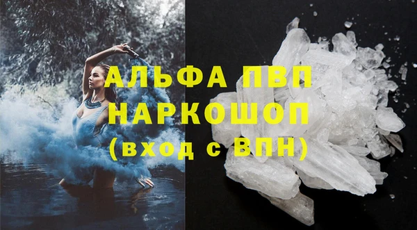 спиды Богородицк