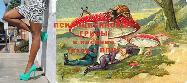 спиды Богородицк