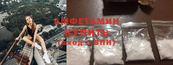 спиды Богородицк
