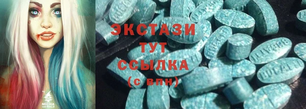 спиды Богородицк