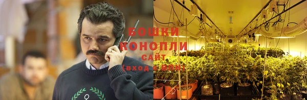спиды Богородицк