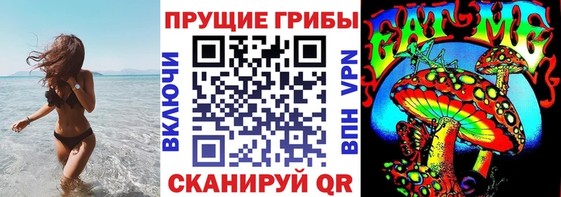 наркота Новоузенск Псилоцибиновые грибы мухоморы