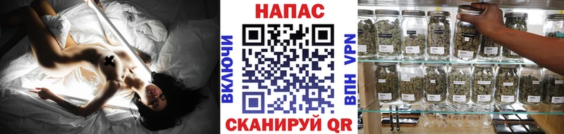 Каннабис White Widow Новоузенск